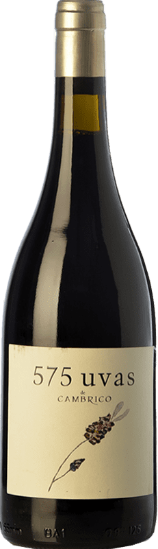 22,95 € | 红酒 Cámbrico 575 Uvas 岁 I.G.P. Vino de la Tierra de Castilla y León 卡斯蒂利亚莱昂 西班牙 Tempranillo, Rufete, Calabrese 75 cl