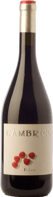 Cámbrico Crianza