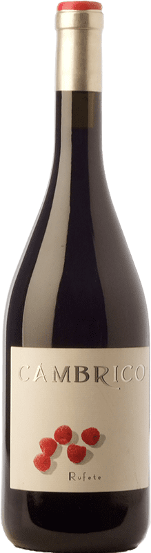 45,95 € | 赤ワイン Cámbrico 高齢者 I.G.P. Vino de la Tierra de Castilla y León カスティーリャ・イ・レオン スペイン Rufete 75 cl
