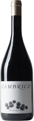Cámbrico Crianza — 陈酿