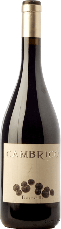 43,95 € | Red wine Cámbrico Aged I.G.P. Vino de la Tierra de Castilla y León Castilla y León Spain Tempranillo 75 cl