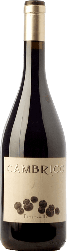 41,95 € 免费送货 | 红酒 Cámbrico 岁 I.G.P. Vino de la Tierra de Castilla y León