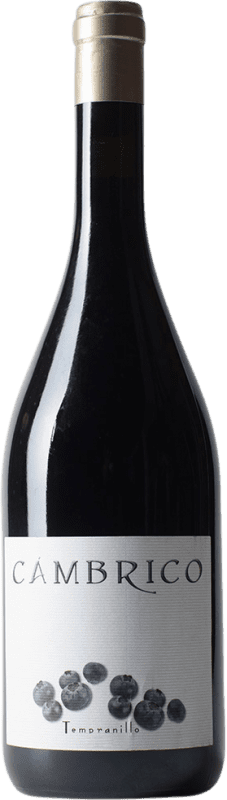 78,95 € Envio grátis | Vinho Tinto Cámbrico Crianza I.G.P. Vino de la Tierra de Castilla y León