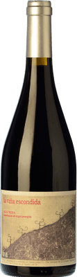Canopy La Viña Escondida Garnacha — Grenache Méntrida Crianza — Invecchiato in Botte 75 cl