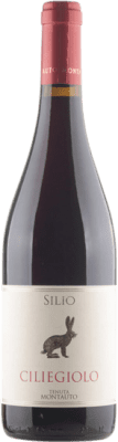 Montauto Silio Ciliegiolo Maremma Toscana Eco — Organic 75 cl