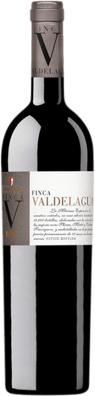 11,95 € | Red wine Casa del Valle Finca Valdelagua Aged I.G.P. Vino de la Tierra de Castilla Castilla la Mancha Spain Merlot, Syrah, Cabernet Sauvignon 75 cl