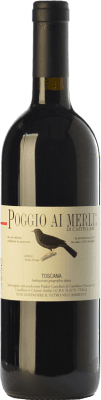 Castellare di Castellina Poggio ai Merli Merlot Toscana 75 cl