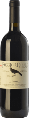 Domini Castellare di Castellina Poggio ai Merli