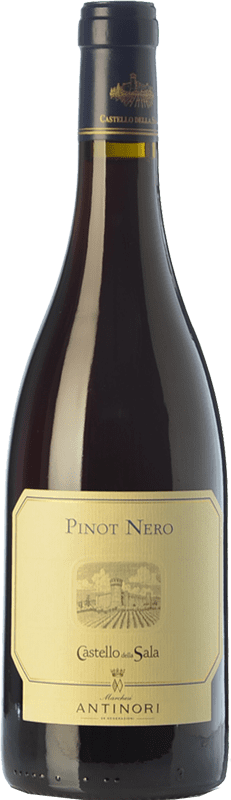 52,95 € | Red wine Castello della Sala Pinot Nero I.G.T. Umbria Umbria Italy Pinot Black Bottle 75 cl