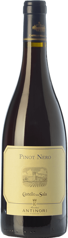 55,95 € 免费送货 | 红酒 Castello della Sala Pinot Nero I.G.T. Umbria