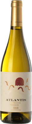 Castillo de Maetierra Atlantis Treixadura — Трейшадура Ribeiro 75 cl