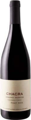 Chacra Cincuenta y Cinco Pinot Black Patagonia Organic 75 cl