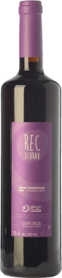 Guilla Rec de Brau Jeune