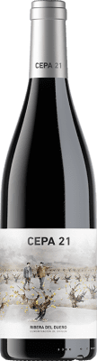 免费送货 | 红葡萄酒 Cepa 21 Crianza — 陈酿 D.O. Ribera del Duero 卡斯蒂利亚莱昂 西班牙 Tempranillo — 丹魄 75 cl