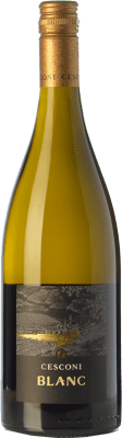 Cesconi Blanc Sauvignon Vigneti delle Dolomiti 75 cl