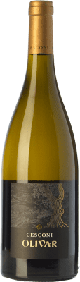 Cesconi Olivar Ecológico
