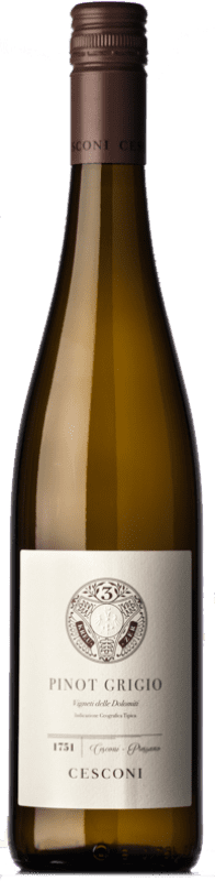 19,95 € Envio grátis | Vinho branco Cesconi Pinot Grigio I.G.T. Vigneti delle Dolomiti