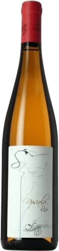 Spedizione Gratuita | Vino bianco Salvetta I.G.T. Vigneti delle Dolomiti Trentino Italia Nosiola 75 cl