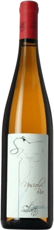 Free Shipping | White wine Salvetta I.G.T. Vigneti delle Dolomiti Trentino Italy Nosiola Organic 75 cl