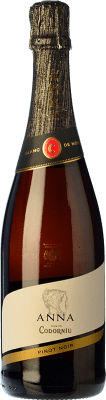 Codorníu Anna Blanc de Noirs Pinot Schwarz Cava 75 cl