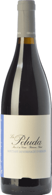 Comunica La Peluda Garnacha — Grenache Montsant Young 75 cl