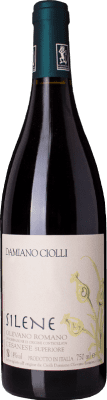 Damiano Ciolli Silene Cesanese Cesanese di Olevano Romano Eco — Biologico 75 cl