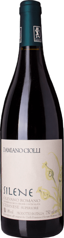 16,95 € | Red wine Damiano Ciolli Silene D.O.C. Cesanese di Olevano Romano Lazio Italy Cesanese, Cesanese di Affile Bottle 75 cl