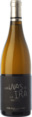 Landi Las Uvas de la Ira Albillo Méntrida Alterung Ökologisch 75 cl