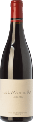 Landi Las Uvas de la Ira Grenache Cebreros старения 75 cl