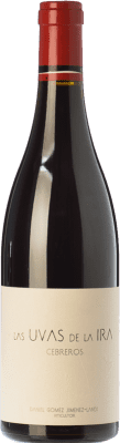 Landi Las Uvas de la Ira Crianza — クリアンサ