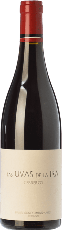 97,95 € | Red wine Landi Las Uvas de la Ira Aged D.O.P. Cebreros Spain Grenache Bottle 75 cl
