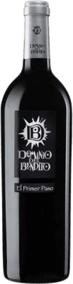 Dominio del Bendito El Primer Paso 年轻的