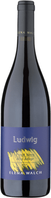 Elena Walch Ludwig Pinot Black Alto Adige 75 cl