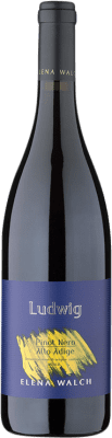 Elena Walch Ludwig Pinot Noir — ピノ・ノワール Alto Adige 75 cl