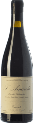 Envínate Amarela Parcela Valdemedel Crianza