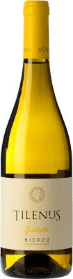 Estefanía Tilenus Godello Bierzo Crianza — Invecchiato in Botte 75 cl