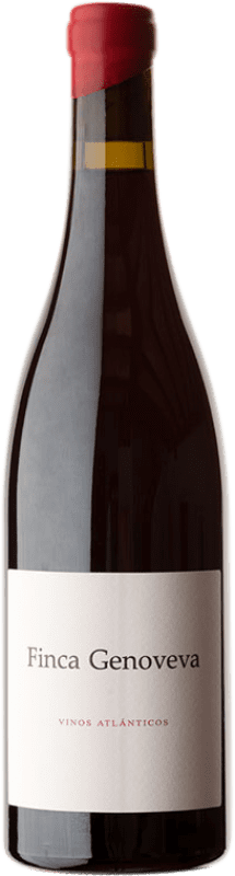 48,95 € | Red wine Forjas del Salnés Goliardo Finca Genoveva Crianza Spain Caíño Black Bottle 75 cl