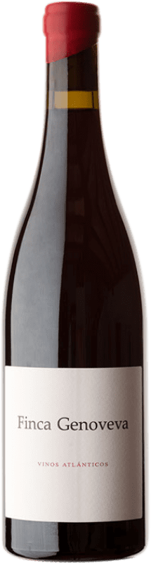 69,95 € 免费送货 | 红葡萄酒 Forjas del Salnés Goliardo Finca Genoveva Crianza — 陈酿