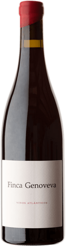 73,95 € Envoi gratuit | Vin rouge Forjas del Salnés Goliardo Finca Genoveva Crianza