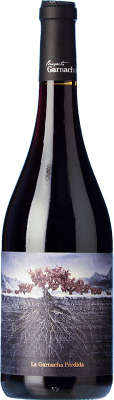 Proyecto Garnachas La Garnacha Perdida del Pirineo Grenache 75 cl