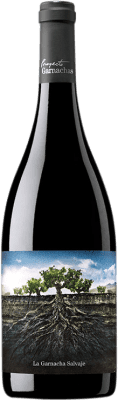 Proyecto Garnachas La Garnacha Salvaje del Moncayo