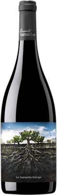 Proyecto Garnachas La Garnacha Salvaje del Moncayo Grenache Vino de la Tierra Ribera del Queiles 75 cl