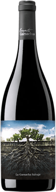 6,95 € Free Shipping | Red wine Garnachas de España La Salvaje del Moncayo Joven I.G.P. Vino de la Tierra Ribera del Queiles Aragon Spain Grenache Bottle 75 cl