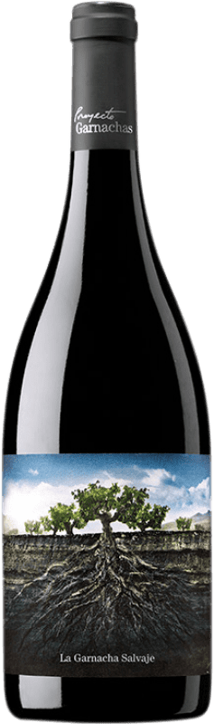 8,95 € | 赤ワイン Proyecto Garnachas La Garnacha Salvaje del Moncayo I.G.P. Vino de la Tierra Ribera del Queiles アラゴン スペイン Garnacha — グルナッシュ 75 cl