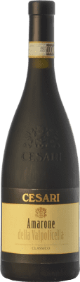 Cesari Classico Aged