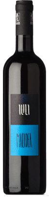 Iuli Malidea Monferrato 75 cl