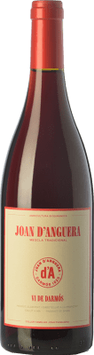 Joan d'Anguera Vi de Darmós Giovane