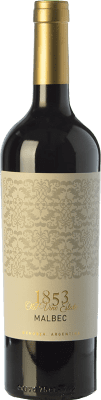 Kauzo 1853 Malbec Valle de Uco 若い 75 cl