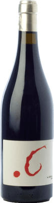 La Bollidora Punto G Terra Alta Crianza 75 cl