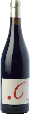 La Bollidora Punto G Terra Alta Crianza — Invecchiato in Botte 75 cl
